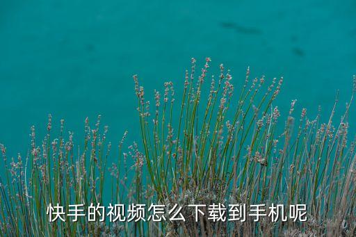 快手的视频怎么下载到手机呢