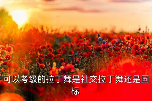 考级舞蹈属于什么舞，请问什么叫舞蹈考级课啊