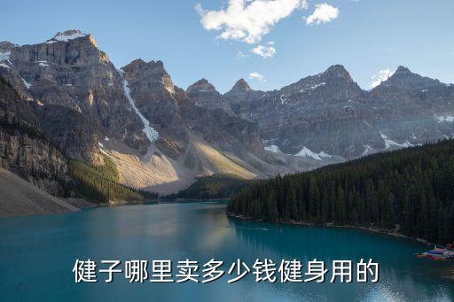 健子哪里卖多少钱健身用的
