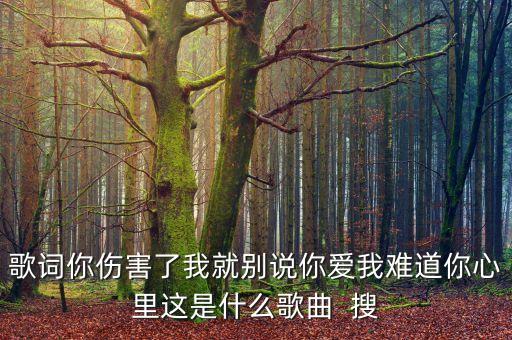 歌词你伤害了我就别说你爱我难道你心里这是什么歌曲  搜