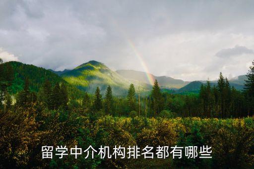 留学中介机构排名都有哪些