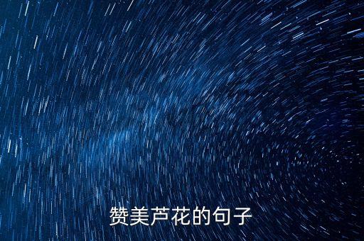 赞美芦花的句子