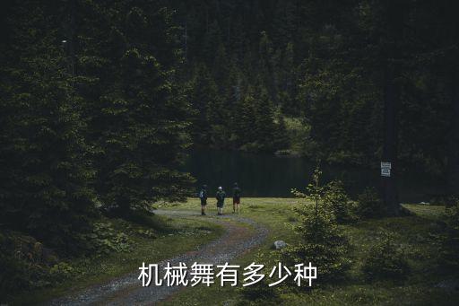 机械舞有多少种