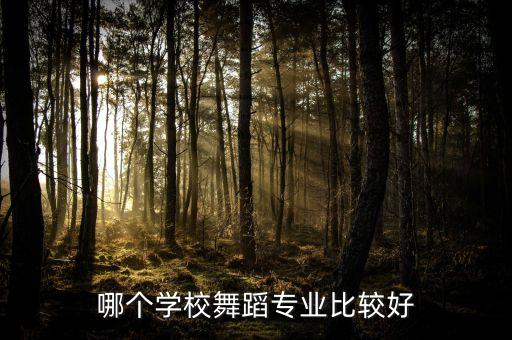 舞蹈艺术类大学全国排名，哪个学校舞蹈专业比较好