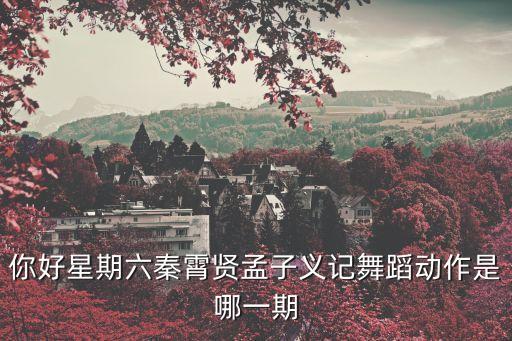 你好星期六秦霄贤孟子义记舞蹈动作是哪一期