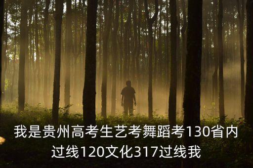 我是贵州高考生艺考舞蹈考130省内过线120文化317过线我