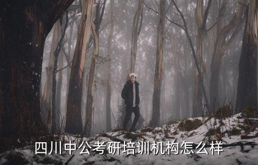 四川中公考研培训机构怎么样