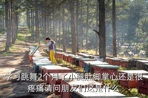 学舞蹈哪里痛，孩子学舞蹈最近压腿尾椎的那一块疼而且一直疼动一下都很疼