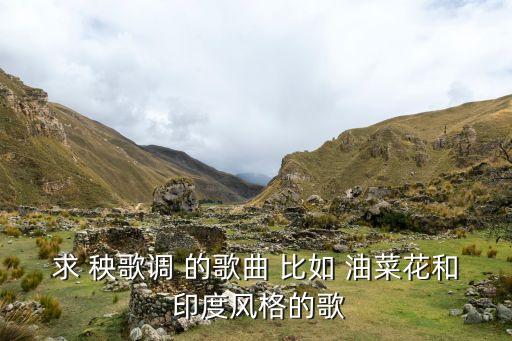 求 秧歌调 的歌曲 比如 油菜花和 印度风格的歌