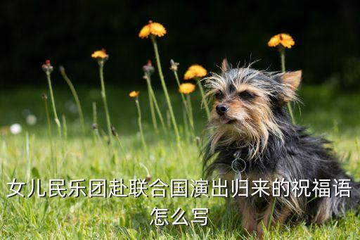 女儿民乐团赴联合国演出归来的祝福语怎么写