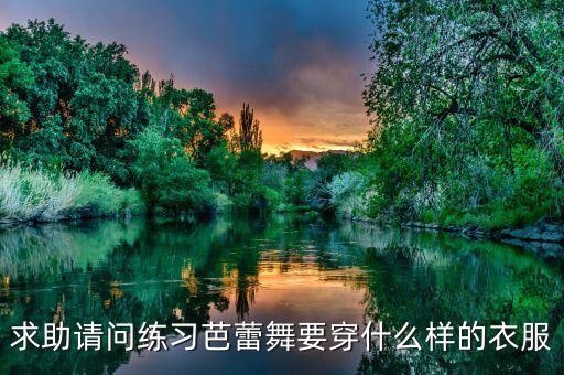 求助请问练习芭蕾舞要穿什么样的衣服