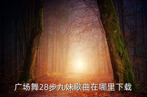 广场舞28步九妹歌曲在哪里下载