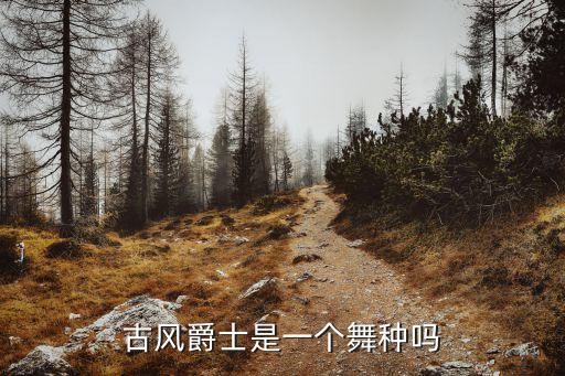 古风爵士是一个舞种吗
