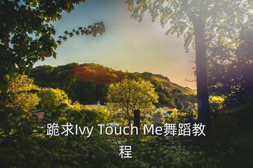 紫藤花舞蹈教程视频，跪求Ivy Touch Me舞蹈教程