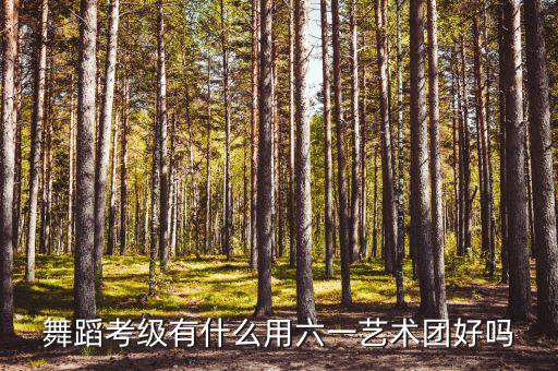 舞蹈考级有什么用六一艺术团好吗
