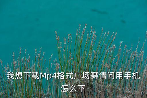 我想下载Mp4格式广场舞请问用手机怎么下