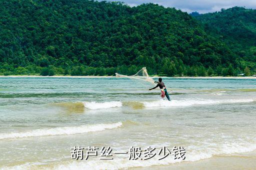 葫芦丝一般多少钱