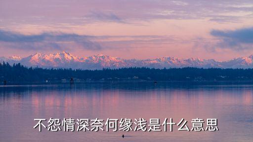 不怨情深奈何缘浅是什么意思