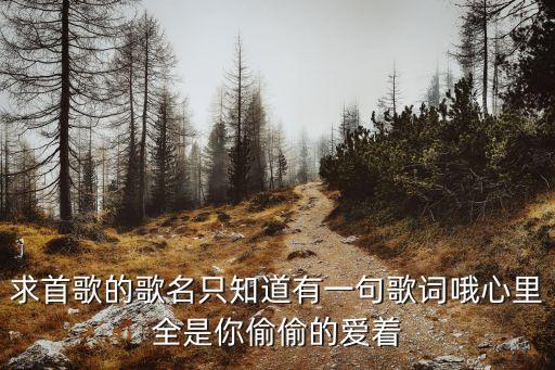 心里爱着你是什么歌曲下载，我曾在心底爱着你是哪首歌的歌词