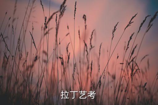拉丁艺考