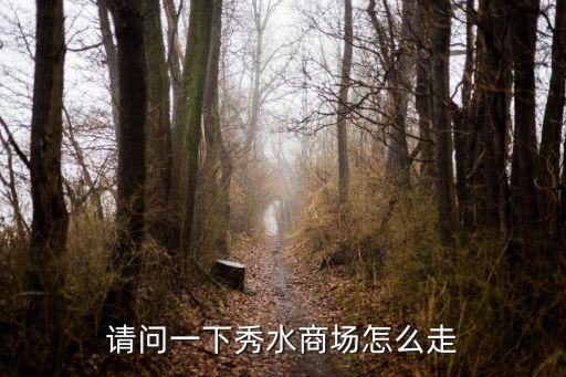 请问一下秀水商场怎么走