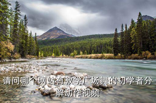 请问哪个网站有教学广场舞的初学者分解动作视频