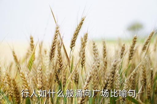 算什么阿采广场，行人如什么般涌向广场比喻句