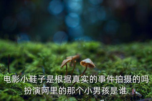 电影小鞋子是根据真实的事件拍摄的吗扮演阿里的那个小男孩是谁