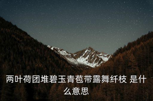 两叶荷团堆碧玉青苞带露舞纤枝 是什么意思
