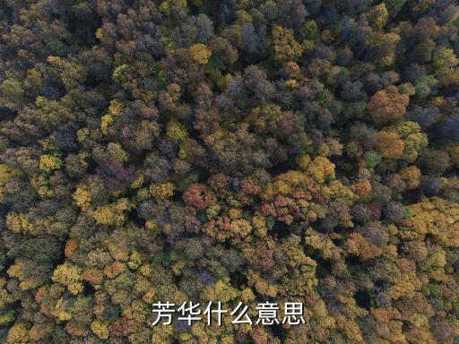 岁月芳华什么意思，青春无问西东岁月自成芳华