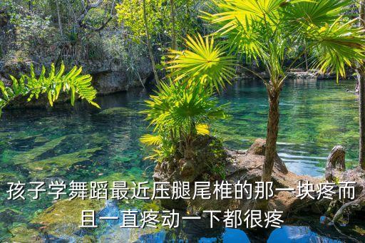 孩子学舞蹈最近压腿尾椎的那一块疼而且一直疼动一下都很疼