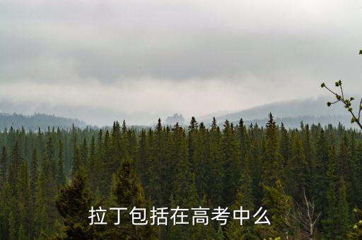 拉丁舞参加高考吗，拉丁包括在高考中么