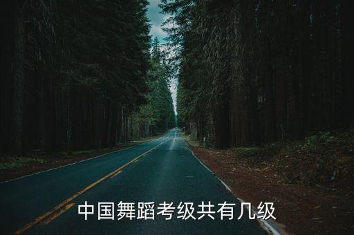 北舞有多少级，北舞幼儿舞蹈考级一年几次