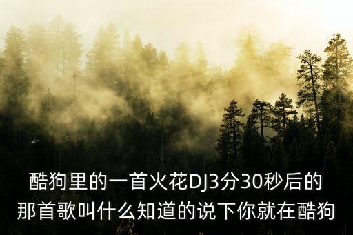 酷狗里的一首火花DJ3分30秒后的那首歌叫什么知道的说下你就在酷狗