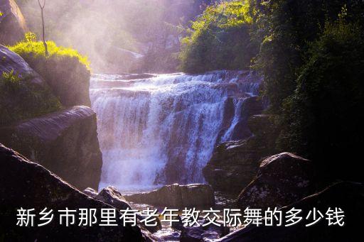 新乡市那里有老年教交际舞的多少钱