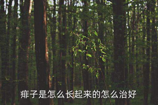 痱子是怎么长起来的怎么治好