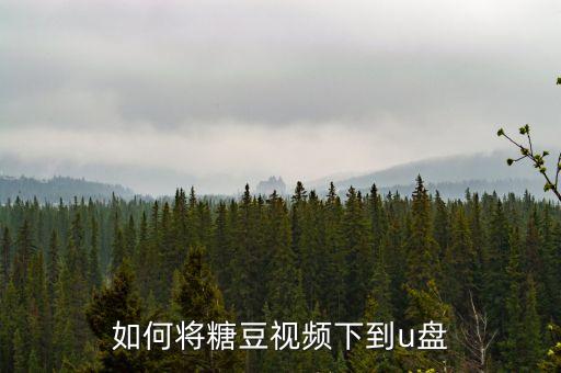 如何将糖豆视频下到u盘