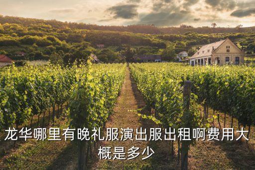龙华哪里有晚礼服演出服出租啊费用大概是多少
