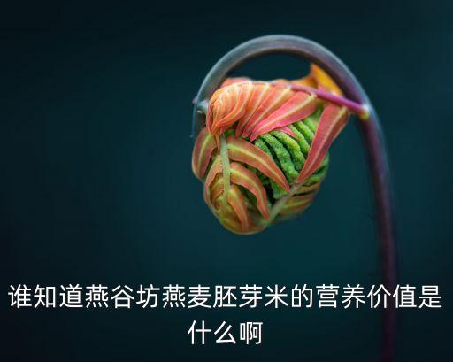 谁知道燕谷坊燕麦胚芽米的营养价值是什么啊