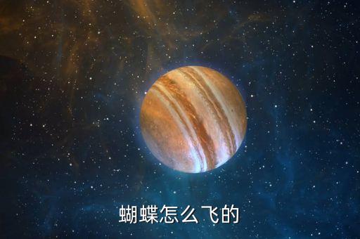 蝴蝶怎么飞的