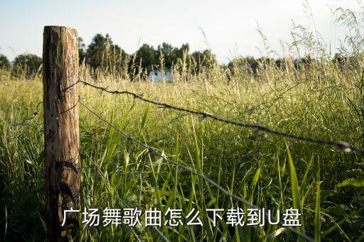 广场舞歌曲怎么下载到U盘