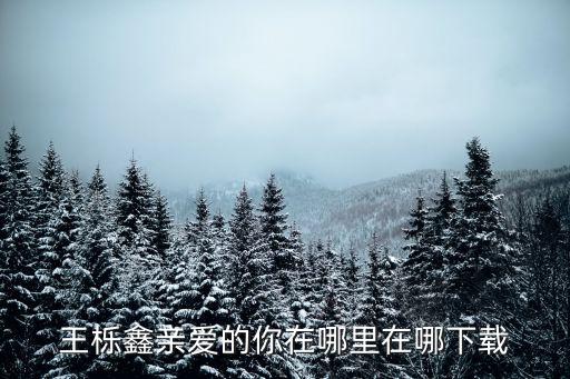 王栎鑫亲爱的你在哪里在哪下载