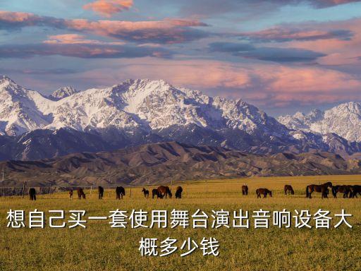 想自己买一套使用舞台演出音响设备大概多少钱