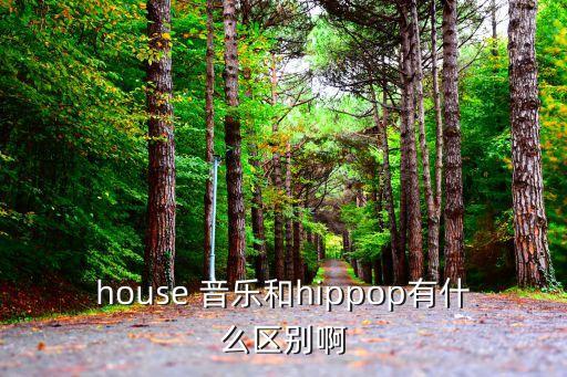 house 音乐和hippop有什么区别啊