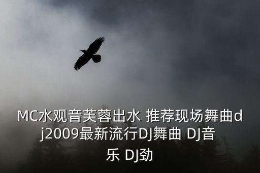 MC水观音芙蓉出水 推荐现场舞曲dj2009最新流行DJ舞曲 DJ音乐 DJ劲