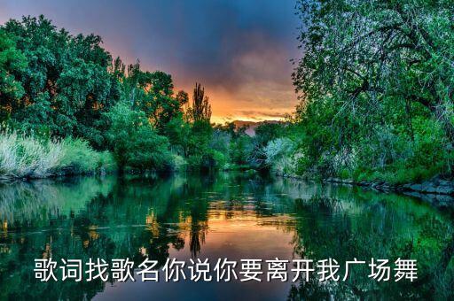 歌词找歌名你说你要离开我广场舞