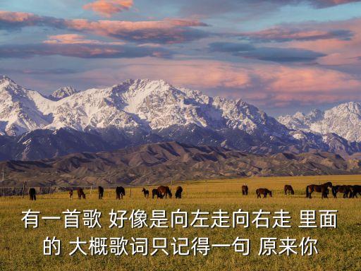 有一首歌 好像是向左走向右走 里面的 大概歌词只记得一句 原来你