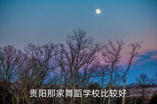 贵阳那家舞蹈学校比较好