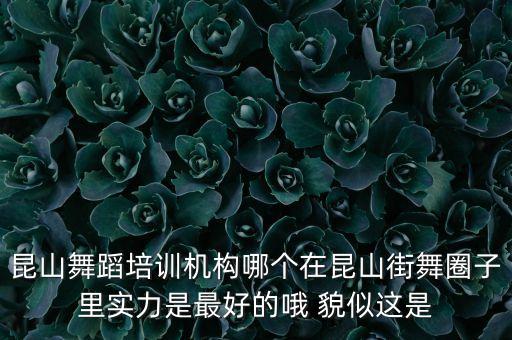昆山有哪些出名的舞蹈学校，昆山舞蹈培训机构哪个在昆山街舞圈子里实力是最好的哦 貌似这是