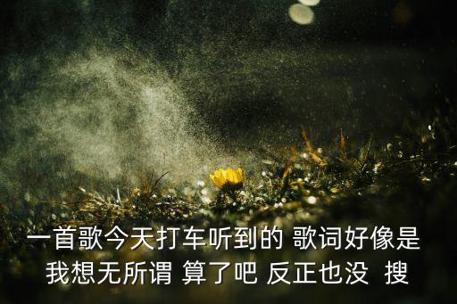 算了吧寂寞有什么歌，算了吧朋友越来越寂寞  只记得一句歌词这首歌名字叫什么